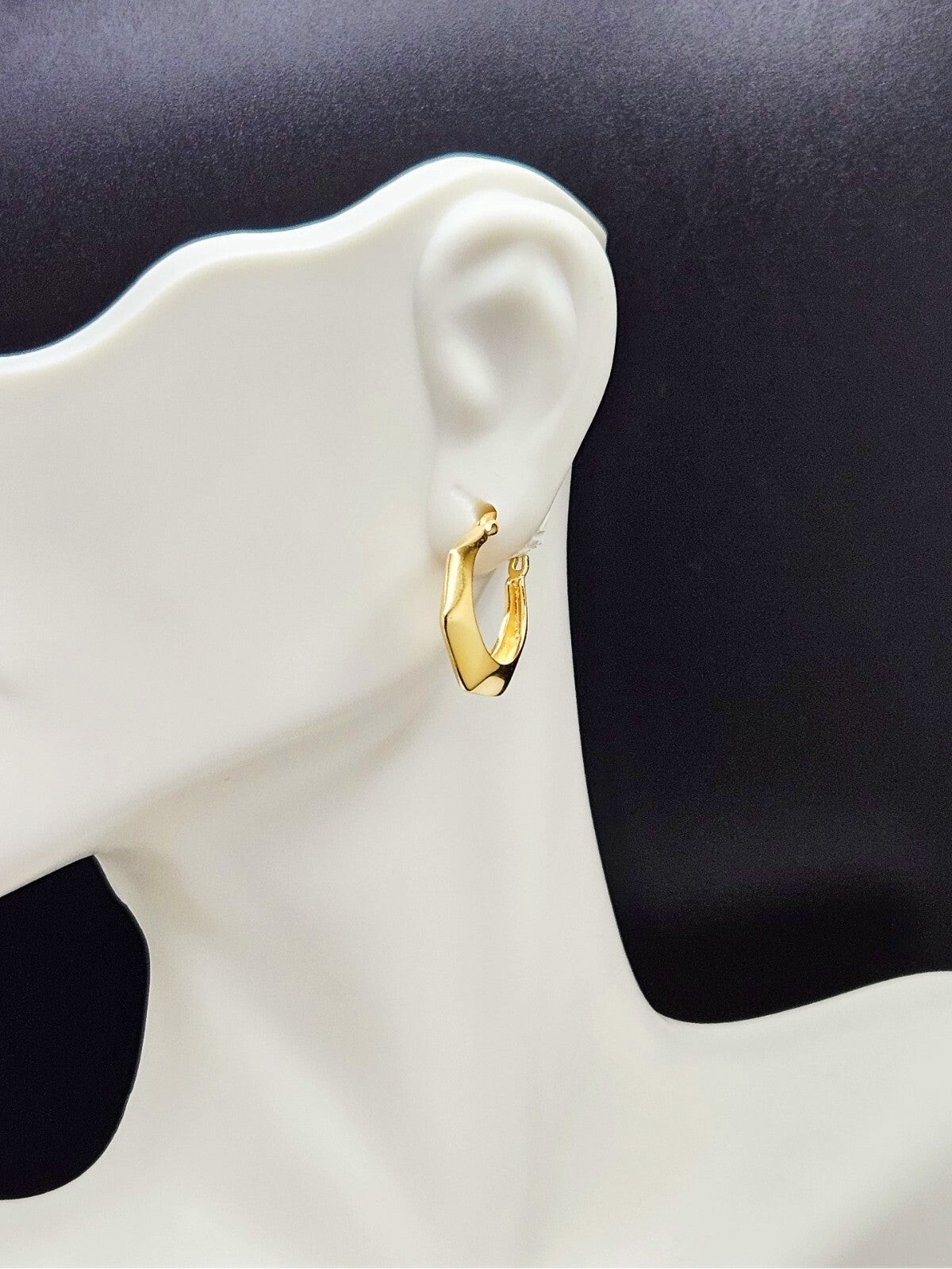 18k Gold Plated Geometric Polygon Hoop Earrings for women4
